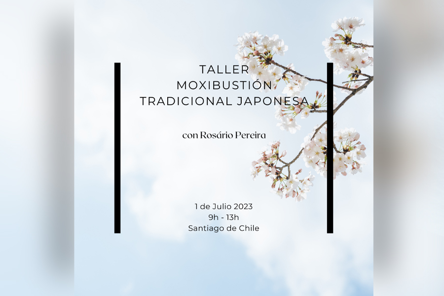 Taller Moxibustión Japonesa