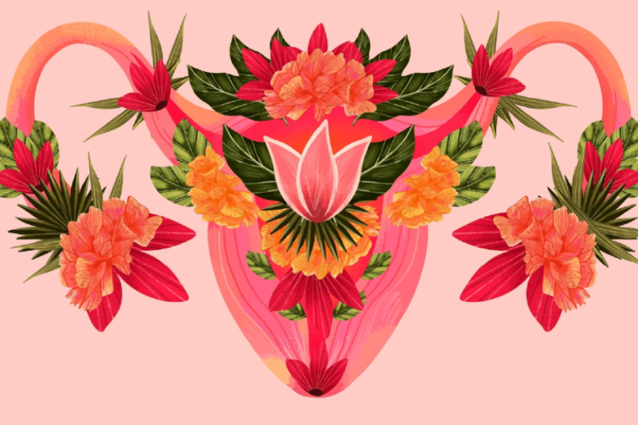 Cómo regular el ciclo menstrual